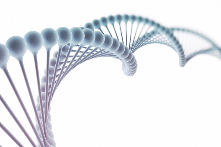 Equipo_Economico_quince_años_ok