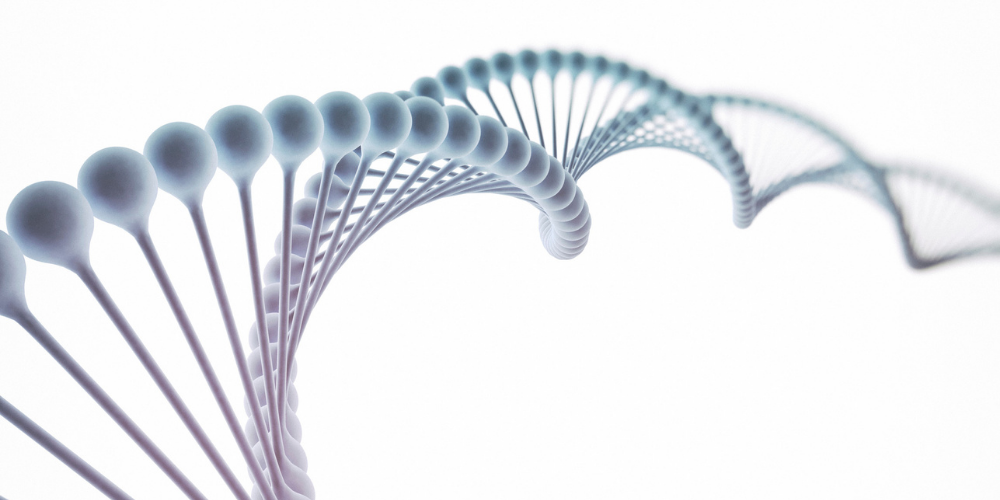 Equipo_Economico_quince_años_ok