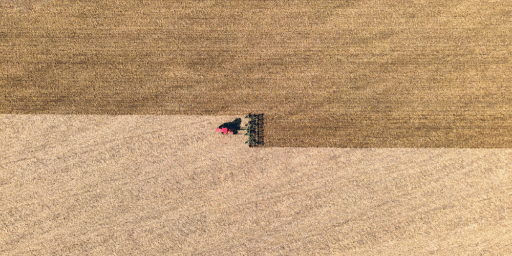 sector agroalimentario