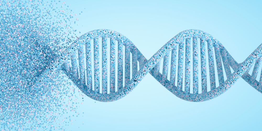 informes_i+d_vinculantes