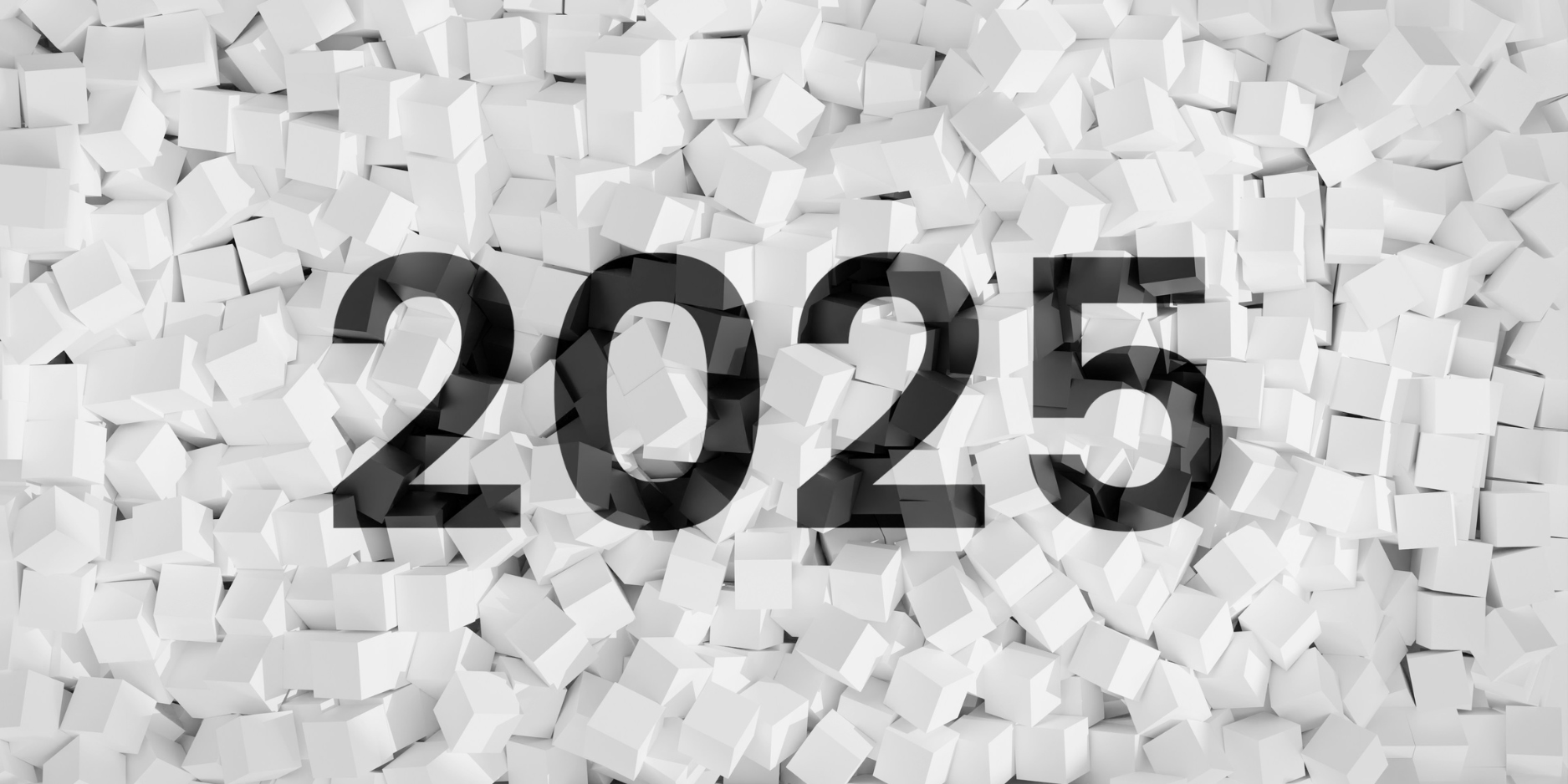 Ricardo_Martinez_Rico_2025